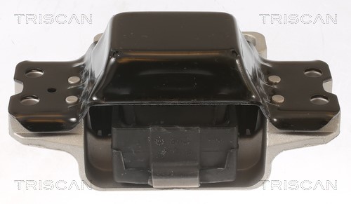 Mounting, engine TRISCAN 850529191 3