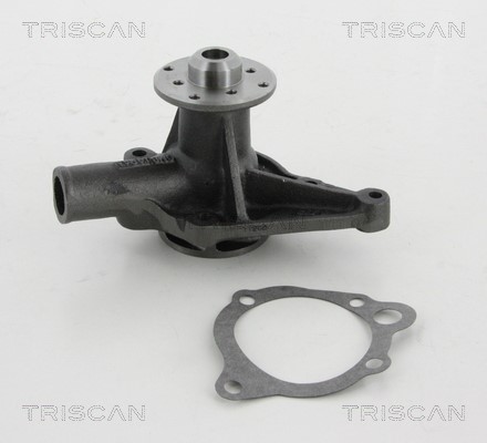 Water Pump, engine cooling TRISCAN 860010218