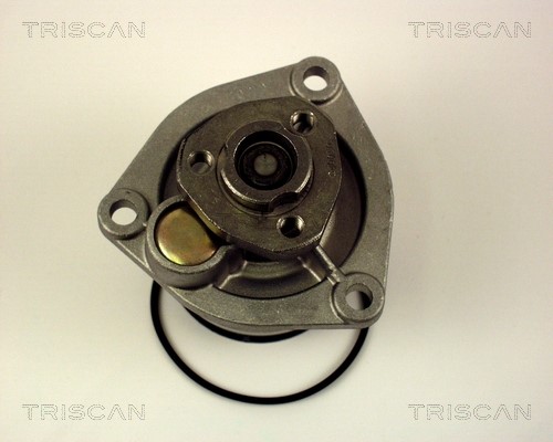 Water Pump, engine cooling TRISCAN 860024009 2
