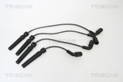 Ignition Cable Kit TRISCAN 886024006