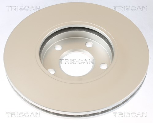 Brake Disc TRISCAN 812016141C 2