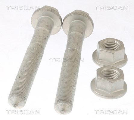 Repair Kit, wheel suspension TRISCAN 850023421