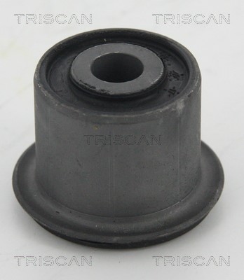 Mounting, control/trailing arm TRISCAN 850023879