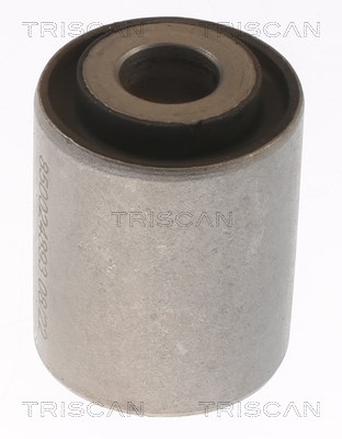 Mounting, control/trailing arm TRISCAN 850024893