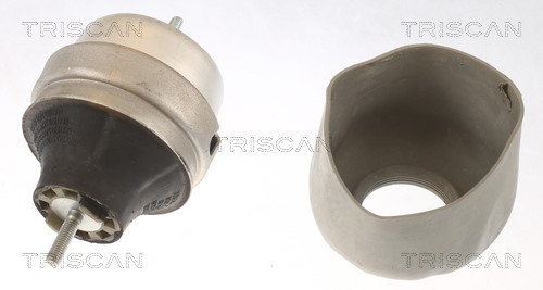 Mounting, engine TRISCAN 850529166 2