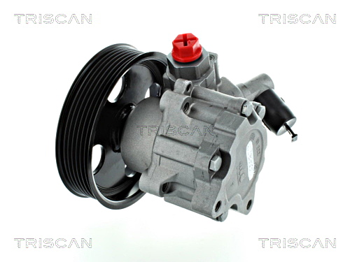 Hydraulic Pump, steering system TRISCAN 851523652