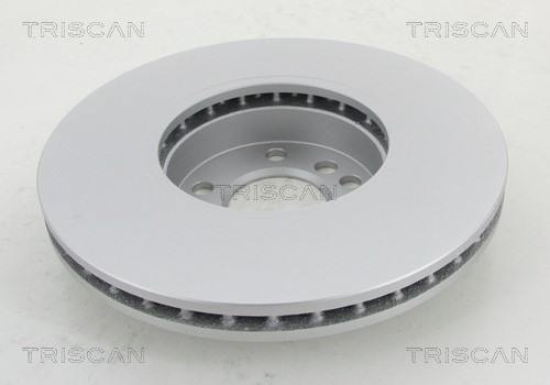 Brake Disc TRISCAN 812011148C 2