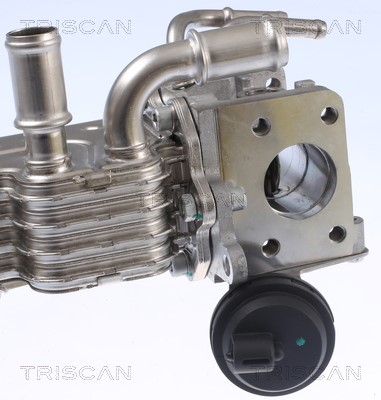Cooler, exhaust gas recirculation TRISCAN 881329331 7