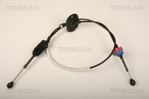Cable Pull, automatic transmission TRISCAN 814016704