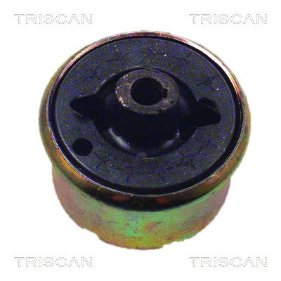 Mounting, control/trailing arm TRISCAN 850016820