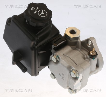 Hydraulic Pump, steering system TRISCAN 851565615 2