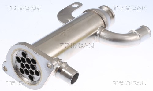 Cooler, exhaust gas recirculation TRISCAN 881310109 2
