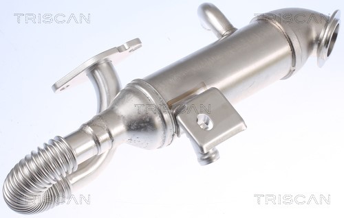 Cooler, exhaust gas recirculation TRISCAN 881316105 4
