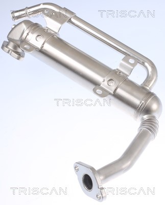 Cooler, exhaust gas recirculation TRISCAN 881329335 4