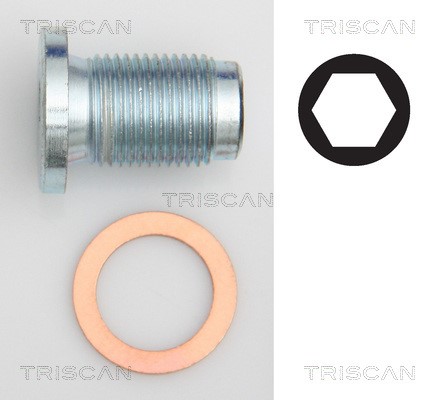 Screw Plug, oil sump TRISCAN 95001014