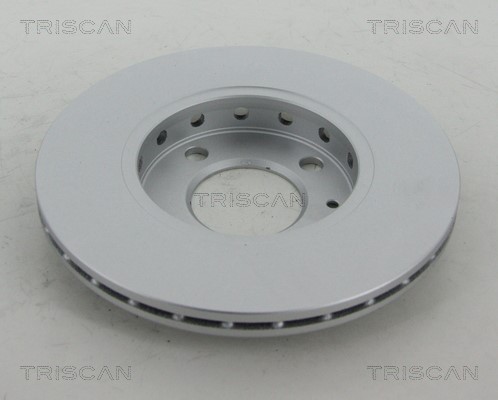 Brake Disc TRISCAN 812029141C 2