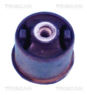 Bushing, axle beam TRISCAN 850029850