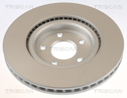 Brake Disc TRISCAN 812014193C 2