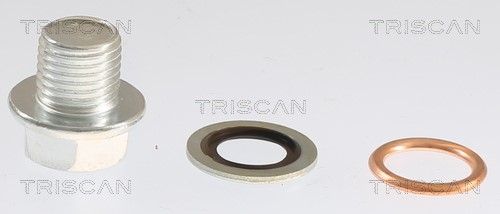 Screw Plug, oil sump TRISCAN 95001001 2