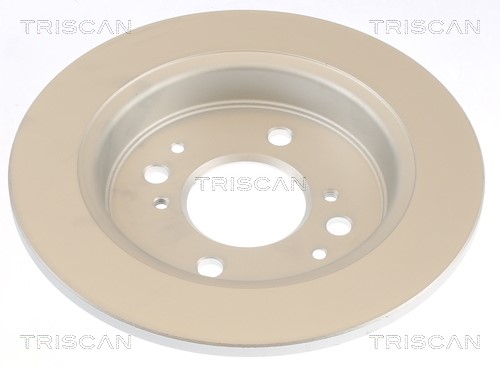 Brake Disc TRISCAN 812040174C 2