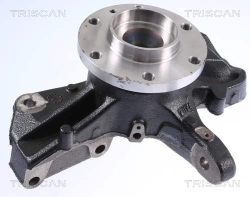 Wheel Bearing Kit TRISCAN 853529003