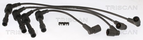 Ignition Cable Kit TRISCAN 886024050