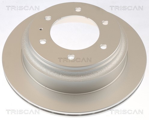 Brake Disc TRISCAN 812010181C