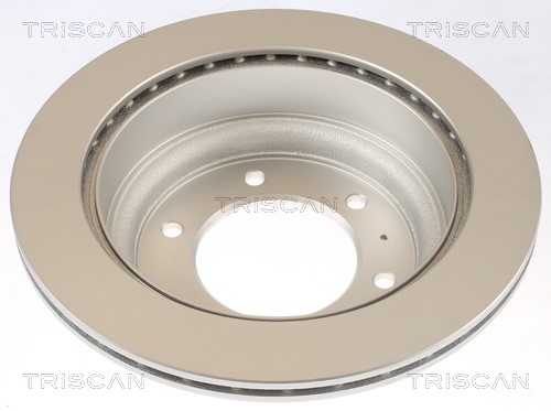 Brake Disc TRISCAN 812010181C 2