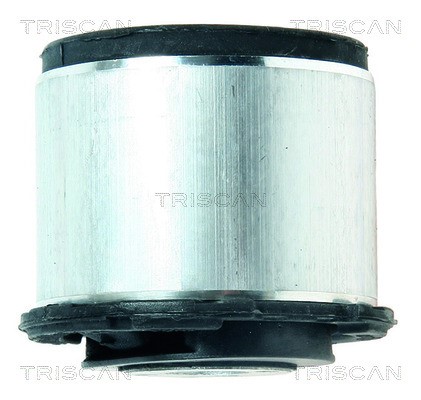 Bushing, axle beam TRISCAN 850029872