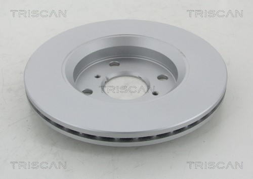 Brake Disc TRISCAN 812010190C 2