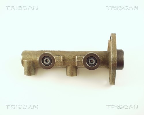 Brake Master Cylinder TRISCAN 813065101