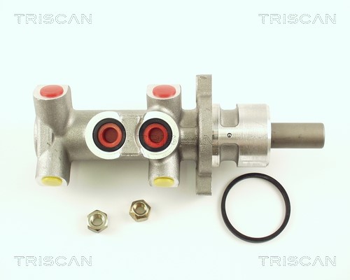 Brake Master Cylinder TRISCAN 813016140