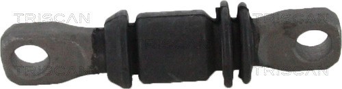 Mounting, control/trailing arm TRISCAN 850043813