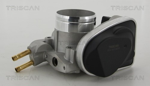 Throttle Body TRISCAN 882029005 3