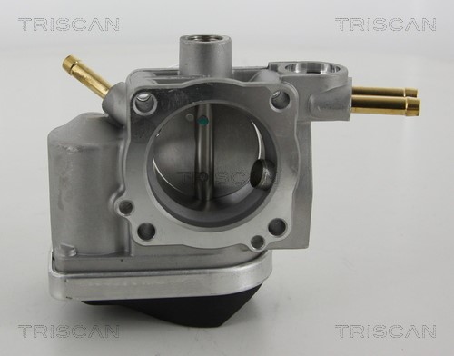 Throttle Body TRISCAN 882029005 4