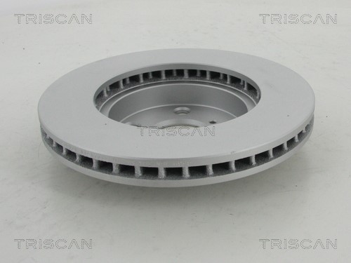 Brake Disc TRISCAN 812013133C 2