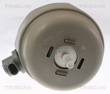 Mounting, engine TRISCAN 850529174 2