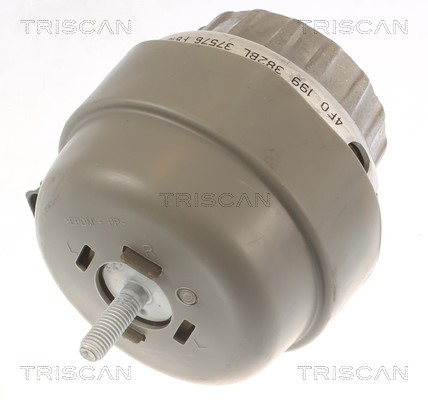 Mounting, engine TRISCAN 850529174 3