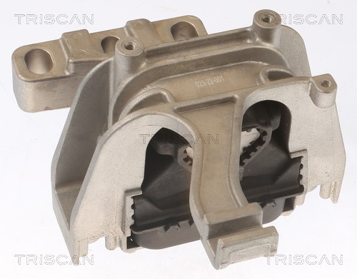Mounting, engine TRISCAN 850529117