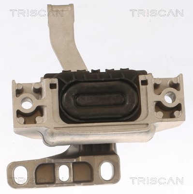 Mounting, engine TRISCAN 850529117 2