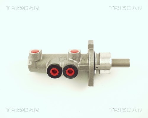 Brake Master Cylinder TRISCAN 813029142