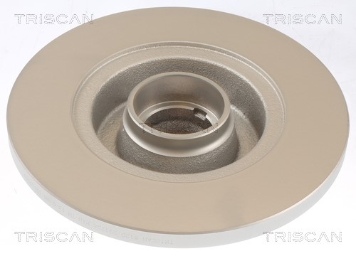 Brake Disc TRISCAN 812029125C 2