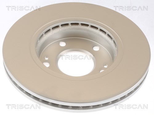 Brake Disc TRISCAN 812043108C 2