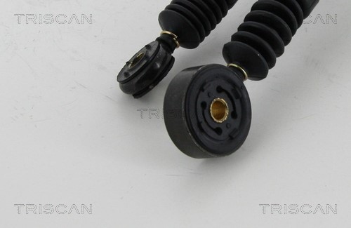 Cable Pull, manual transmission TRISCAN 814021704 3