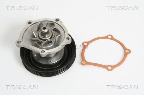 Water Pump, engine cooling TRISCAN 860069006