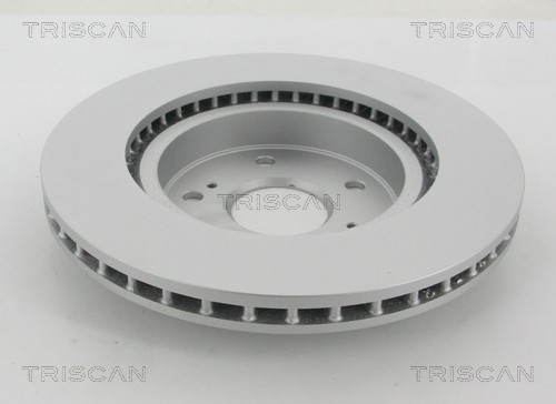 Brake Disc TRISCAN 812069117C 2