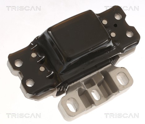 Mounting, engine TRISCAN 850529189