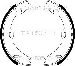 Brake Shoe Set, parking brake TRISCAN 810023027