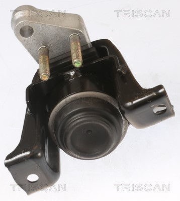 Mounting, engine TRISCAN 850513100 2
