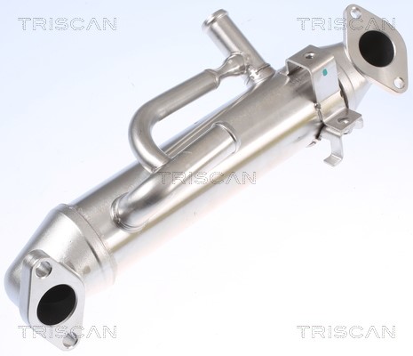Cooler, exhaust gas recirculation TRISCAN 881316108 2